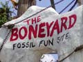 Animal Kingdom Park - The Boneyard
