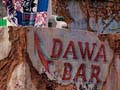 Animal Kingdom Park - Dawa Bar