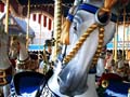 Magic Kingdom Park - Prince Charming Regal Carrousel