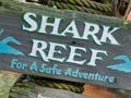 Disney's Typhoon Lagoon - Shark Reef
